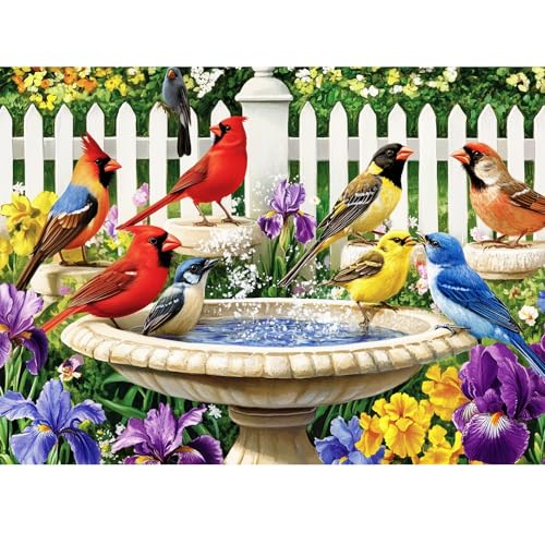 500 Pieces Puzzle for Adults,Birds Bath Flower Fence Puzzle,Recycled Cardboard Animals Jigsaw Puzzle 500 Pieces,Challenging Game Home Decor Birthday Party Gift Toy for Adults Seniors 20.5 * 15 in - color: Bath Birds