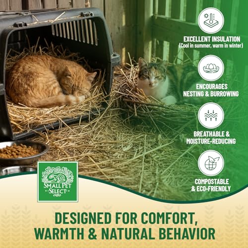 Small Pet Select - Golden Wheat Straw Bedding, 8lb, 100% Natural Plant Material, Soft Animal Bedding Litter with Odor Control for, Rabbit, Hamster, or Bunny, Habitat Accessories, Made in USA