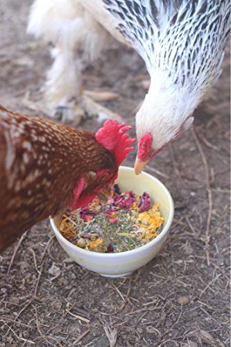 Pampered Chicken Mama Premium Nesting Herbs for Chickens (20 oz) Made with Flowers & Botanicals | Chicken Nesting Herbs | Nesting Herbs for Chicken Coop Herbs - size: 1.25 Pound (Pack of 1)