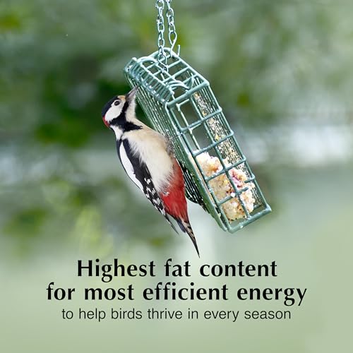 C&S Peanut Butter Delight No Melt Suet Dough, Suet Cakes for Wild Birds Including Wrens, Woodpeckers, Cardinals, Songbirds, Jays and More, 8 Pack - size: 11.75 Ounce (Pack of 8), style: Peanut Butter, 8 Pack