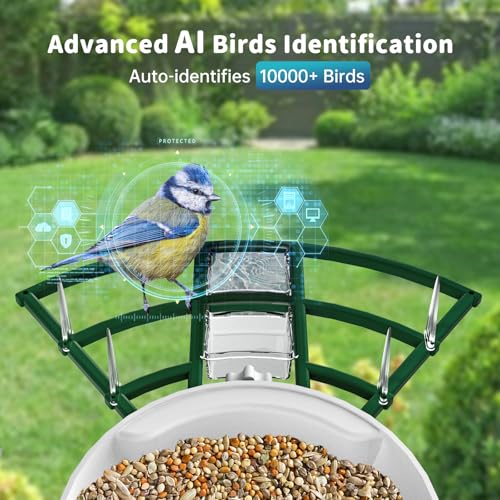 Smart Bird Feeder with Camera Solar Powered & AI Bi rd Identification, 2.4Ghz WiFi Bird feeders for Outdoors, 2K Live Video, Instant Arrival Alerts - Best Gifts for Bi rd Lovers - Green - color: Green