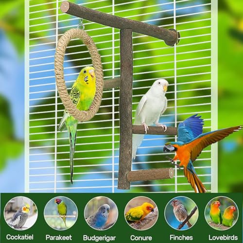 Bird Branch Perch Swing Toys, Natural Wood Parrot Cage Accessories for Parakeets, Cockatiels, Conures, Budgies,Finches, Love Birds, Small & Medium Birds