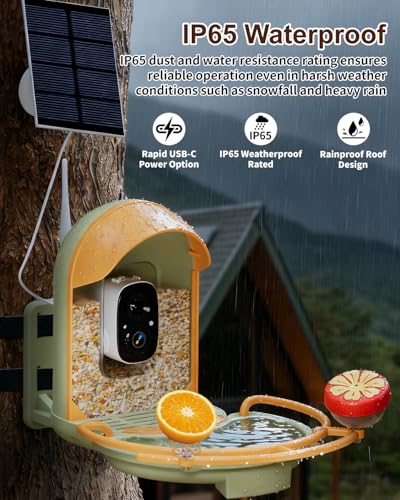 Bird Feeder with Camera, Bird Bath, Solar Powered, 2K HD, Wireless | Enjoy crisp 2K video, AI bird recognition, solar charging, bird bath design, night vision and instant app motion alerts. - color: Light Green, size: With BirdBath