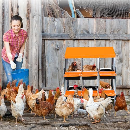 Chicken Nesting Box, 6-Hole Roll Away Egg Laying Box with Lid, Galvanized Steel Rustproof Design - Easy Egg Collection, Easy Clean with Bracket Legs, Orange - color: orange, size: 6 HOLES WITH LEGS