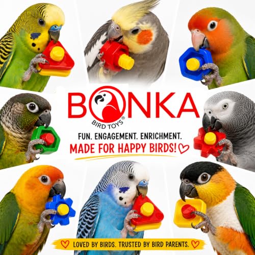 3505 Pk6 Huge Nuts and Bolts Colorful Enticing Large Screw Interactive Foot Beak Throw Parrot Cockatoo Amazon African Grey Macaw Hyacinth