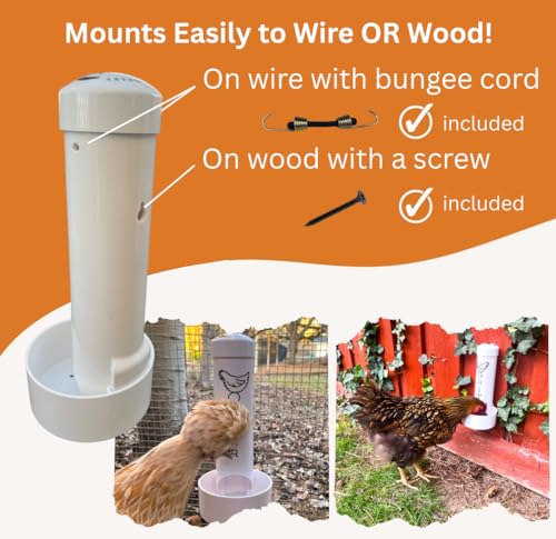 Grit Feeder for Chickens