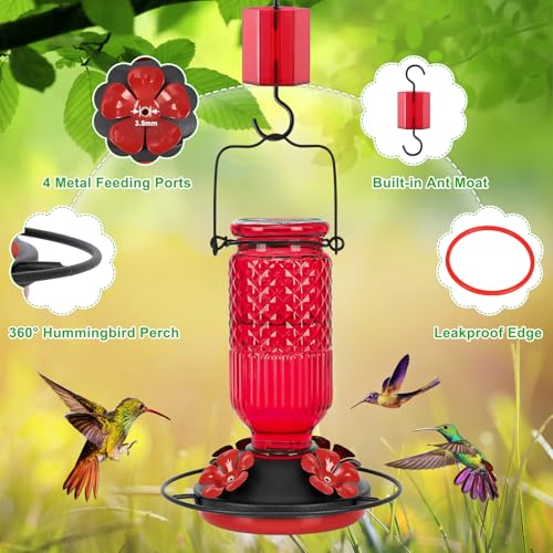 Glass Hummingbird Feeder for Outdoors Hanging, 16 oz Leak-Proof Nectar Feeder with Bee Guards & Ant Moat, 4 Metal Flower Feeding Ports, 360° Perch Ring, Easy Refill & Clean, Red - color: Red