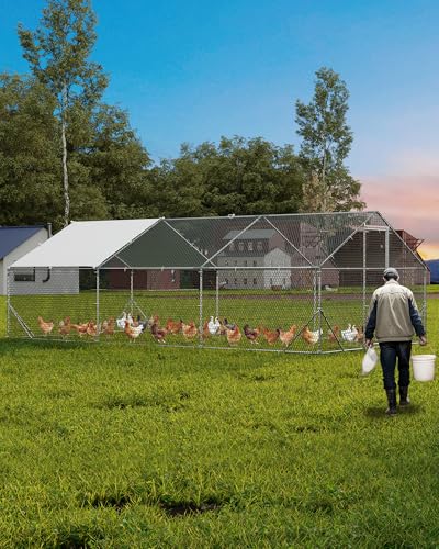 GarveeLife Large Metal Chicken Coop, Chicken Run for 20/30 Chickens, Outdoor Walk in Poultry Cage with Anti-UV Cover and Waterproof, 19.68 x 9.84 x 6.56 ft - size: 118" W x 236" D x 79" H