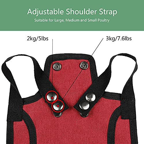 2 Pieces Premium Chicken Saddle for Hens and Roosters, Outdoor Hen Saddles with Adjustable Strap, Chicken Sweater Aprons, Birds Feather Protector for Back and Sides, Suitable for 5-7.6lbs, Red & Blue