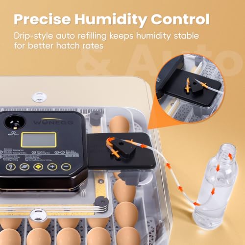48 Incubators for Hatching Eggs, Egg Incubator with Automatic Egg Turning and Humidity Control, Temp Control, Egg Candler, Auto Water Refilling, Incubator for Chicken Eggs, Duck and Quail Eggs | Egg Candler, Egg Incubator for Chicken, Duck & Quail, Easy t