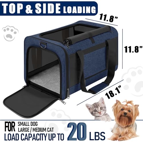 GAPZER Large Cat Carrier Soft, Collapsible Travel Pet Carry Bag, Small Dogs | Large Cats up to 20 lbs+ Maine Coon, Top Load Transport Small Puppy Dog Crate, Chihuahua Mini Dog 10lbs, Sturdy Fabric Navy - color: Navy