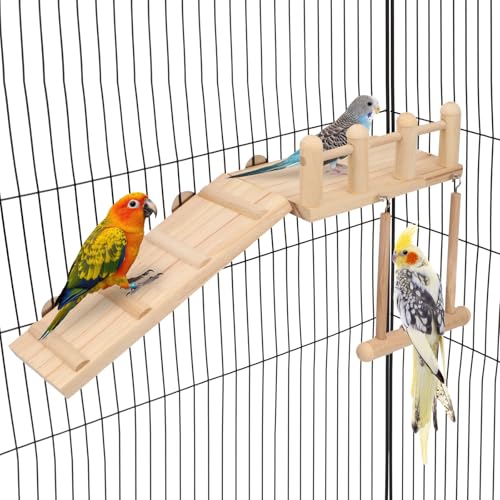 Wontee Bird Perches Platform Swing with Climbing Ladder Bird Cage Accessories Play Gym Exercise Stand for Parrots Budgies Parakeets Caique Senegal Cockatiels Conures