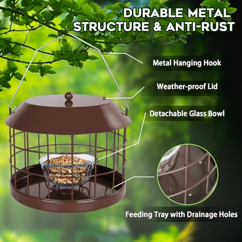 Gbekery Caged Bluebird Feeder for Mealworms with Glass Bowl, Squirrel Proof Bird Feeder for Small Birds Only, Detachable Hook, Large Space, Outdoors Weatherproof, Metal, Brown - style: Brown Glass Bowl