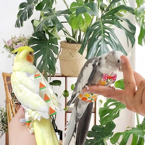 6 Pcs Bird Diapers Bird Harness Flight Suits Diapers Reusable Parrot Nappy with Waterproof Inner Layer Washable Cute Urine Wet Suit Costume for Cockatiel Conure Budgie Macaw Parakeet, S - size: S