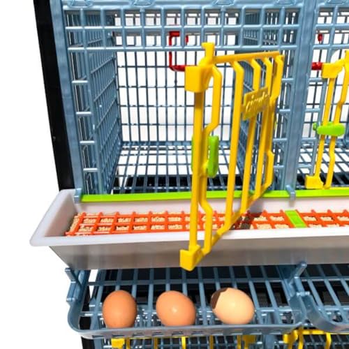 Chicken Cage - 3 Layer H: 15" (Power-Washable, Durable, PP Plastic (Polypropylene) | Hatching Time