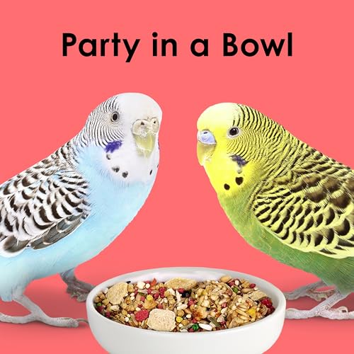 Kaytee Fiesta Parakeet Food, Nutritious and Fun Blend, Supports Skin, Feather, Digestion, Brain and Heart Health, 15 Pounds - size: 15 Pound (Pack of 1)