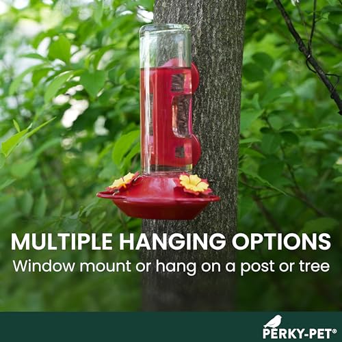 Perky-Pet Window-Mounted Glass Hummingbird Feeder - 14 fl oz Nectar Capacity - Entertaining Bird Watching - Glass Window Bird Feeder - 455-2 - Family Birdwatching - size: (Pack of 1)