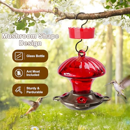 Auslar Glass Hummingbird Feeders for Outdoors Hanging, Red, 15 Oz | Hummingbird Feeder with Ant Moat & 4 Anti-Bee Feeding Ports, Ant and Bee Proof, Leakproof, Easy Clean and Fill, Garden Decor - color: Red