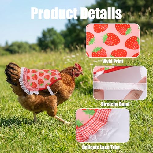 6Pcs Adjustable Chicken Saddles Breathable Hen Feather Protection Aprons | Breathable canvas fabric,adjustable elastic straps,full feather protection,fit small medium hens,smooth scratch-proof edges - color: Sweet Fruit