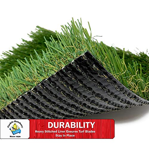 Laying Hen Nest Box Turf - Easy to Clean & Lasts for Years in Chicken Nesting Boxes (6 Pack)