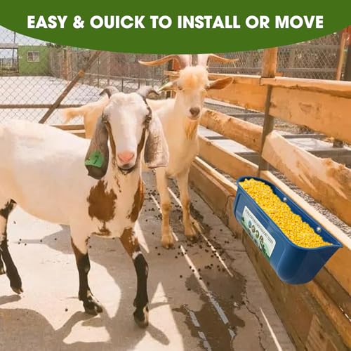 3 Pack 6 Quart Chicken Duck Feeder Trough, Blue | Fence Mount Hanging Feeder with Clips; Fits Chicken, Duck, Geese, Turkeys, Goats & All Farm Livestock Coop Feeding - color: blue
