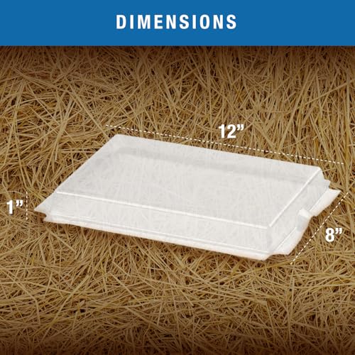 Brinsea Clear Plastic Covers for EcoGlow Safety 600 Chick Brooder, 3 Pack | Authentic Brinsea plastic replacement cover for the EcoGlow Safety 600 chick brooder (model USHD611C) to make cleaning easier - style: EcoGlow Safety 600