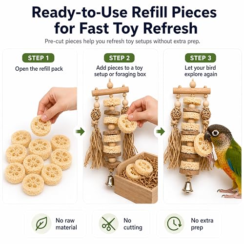 Parrot Shredding Chew Foraging Toys, 10pcs Loofah Chewing Parrot Toys, Bird Cage Shredder Toy, Bird Toy for African Grey Macaws Cockatoos Cockatiel Conure (10 Loofah Slices)