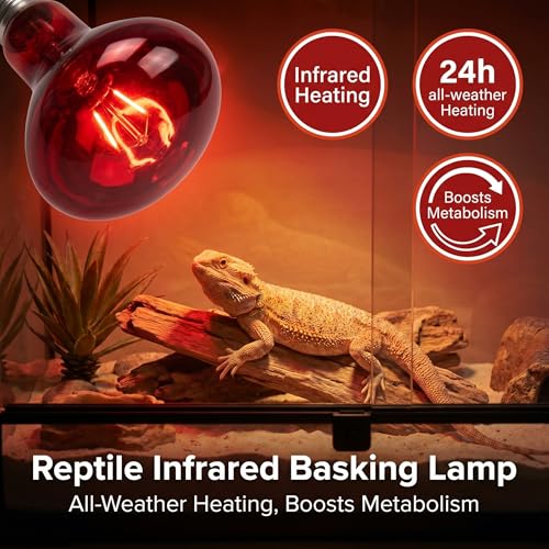 2Pack 100W Reptile Heat Lamp, Day & Night Basking Lamp Combo | UVA Daylight Heat Bulb & Infrared Red Night Heating Light, Terrarium Heat Lamps for Reptiles, Bearded Dragon, Lizard, Chicken