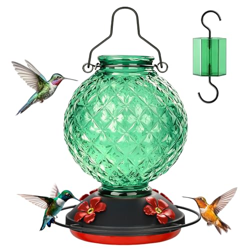 25 OZ Glass Hummingbird Feeder for Outdoors, Leak Proof Hummingbird Feeder with Ant Moat, 4 Bee Resistant Feeding Ports, Easy Clean Wide Mouth Design, Hanging Nectar Feeder, Green - color: Green - 25oz