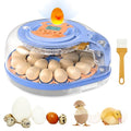 Incubators for Hatching Eggs, FAMEWARE 26 Egg Incubator with Voice Control, Auto Turning, Auto Humidity, °F/°C Switch & Egg Candler, Fits Chicken Bird Eggs - Blue - color: Blue