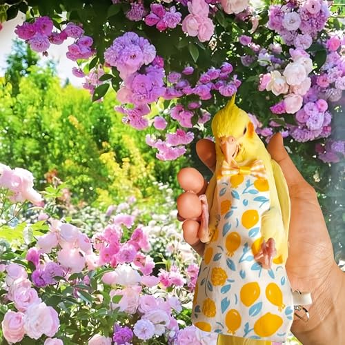 6Pcs Bird Diapers Bird Harness Flight Suits Diapers Reusable Parrot Nappy with Waterproof Inner Layer Washable Cute Urine Wet Suit Costume for Cockatiel Conure Budgie Macaw Parakeet,L - size: L