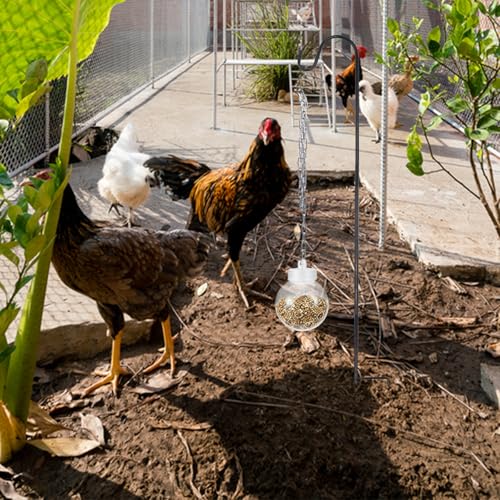 2 Pack Chicken Treat Dispenser with Shepherd Hook, Interactive Hanging Slow Feeder Balls for Chickens, Ducks & Small Pets – Pecking Enrichment Coop Toy with Chain Outdoor Feeders