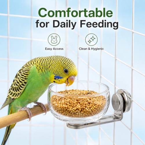 Magnetic Glass Bird Feeding Bowl for Cage, No Drill Removable Water and Food Cup for Parrots, Cockatiels, Conures, Budgies and Lovebirds, 100ml,4246-2 - color: Transparent