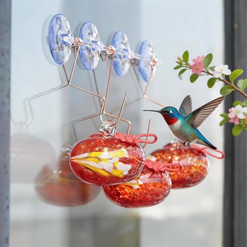 3PCS Window Hummingbird Feeder with Suction Cups(Red) - color: Red