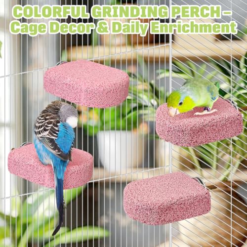 BNOSDM 4 Pcs Pink Bird Beak Grinding Stone Calcium Parrot Perch 3.1 * 2.6in - color: 4 Pcs- Pink (M+)