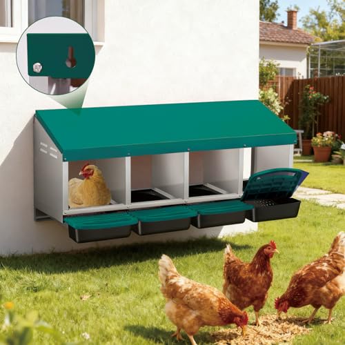 Chicken Nesting Box 4-Compartment Roll-Out with Pull-Out Trays, Egg Nesting Boxes for Hens, Chicken Coop Laying Box,Easy Wall Mounting with Metal Legs - color: green, size: 4 holes