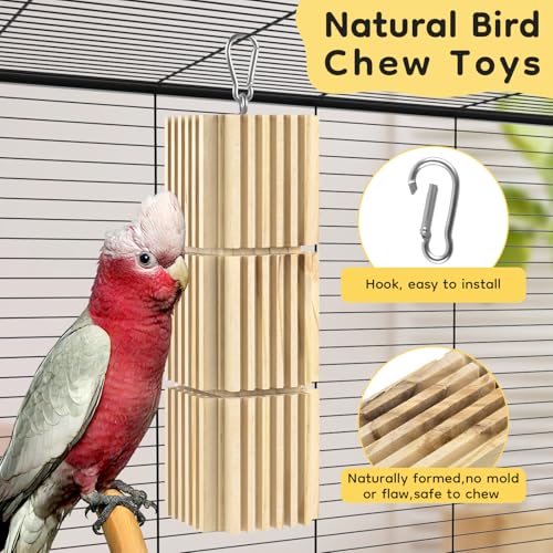 DBNESS Large Parrot Chew Toys, Natural Wooden Hanging Bird Foraging Toy Beak Grinding Blocks for African Grey, Amazon Parrots, Eclectus, Macaws