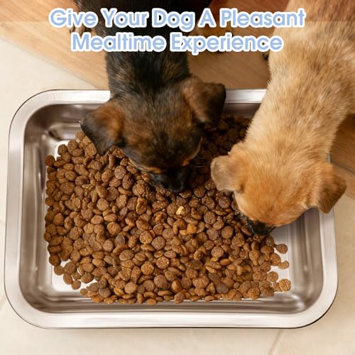 Fhiny 4 PCS Stainless Steel Dog Bowls, Metal Shallow Puppy Bowls 10"×7.5" Indoor & Outdoor Universal Dog Food Plate Whisker Fatigue Friendly Cat Dishes Easy to Clean for Puppy Kitten Doggy 1.2" H