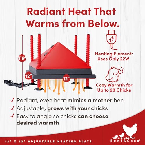 RentACoop 12x12” Adjustable Heating Plate with Foldable Anti-Roost Cone