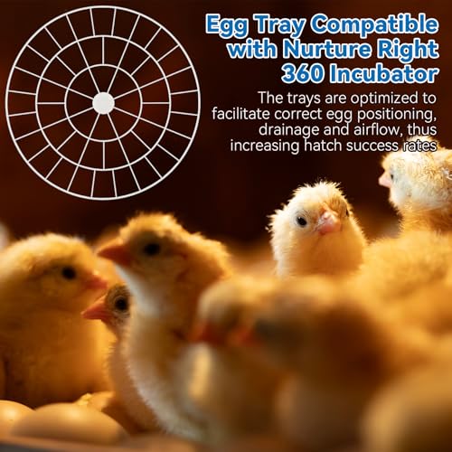 Enhon 48 Egg Tray Compatible with Nurture Right 360 Incubator, Plastic Egg Turner Tray Replacement for Hatching Small Quail Bird Chicken Goose Turkey, Hand Washable, Various Sizes