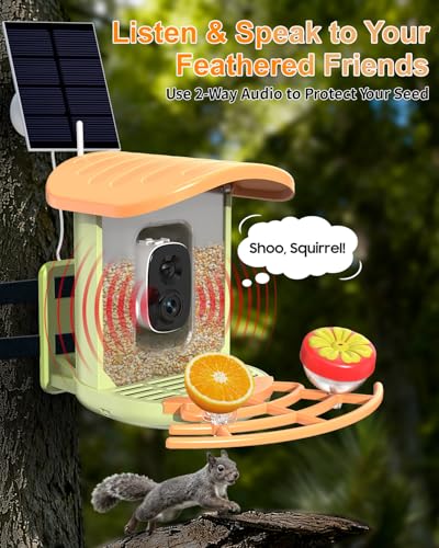 Bird Feeder with Camera, 2K HD Camera Birds Feeder with AI Bird Recognition, Solar Powered Smart Birdfeeder with App Control, Color Night Vision, Gift Box Package, Easy Install & Family Sharing - color: Green, size: Stand