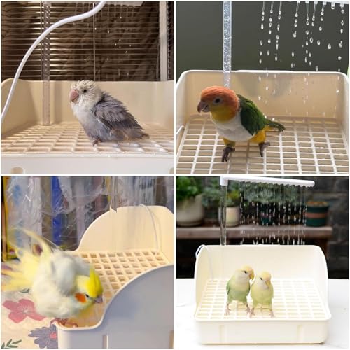Automatic Parakeet Bird Bath with Pump,Parrot Shower Bathtub (Beige) | Circulating Water System Large Bird Fountain Bath Bathing Tub for Budgie Cockatiel Lovebird Conure - color: Beige