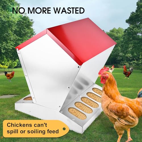 shengyi 11.5-55lbs Galvanized Chicken Feeder - Rat Proof Poultry Feeder with Lid Weatherproof Outdoor Coop Food Dispenser (25lbs 11.75x11.75x15.75in) - size: 25lbs 11.75x11.75x15.75in