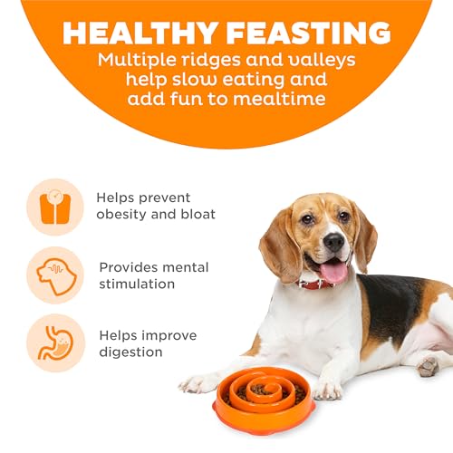 Outward Hound Fun Feeder Slo Bowl – Medium 2‑Cup Capacity, Slow Feeding, Small to Medium Dogs & Cats, Non-Slip, Orange, Swirl Pattern - color: Orange, size: Medium