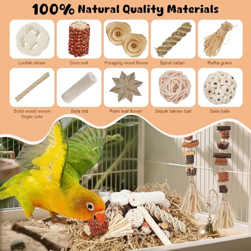 Bird Toys Parrot Natural Foraging Box Parakeet Toys DIY Hanging String for Cockatiels,Conures,Love Birds,and Other Small to Medium Birds Cage Accessories (Large) - size: Large