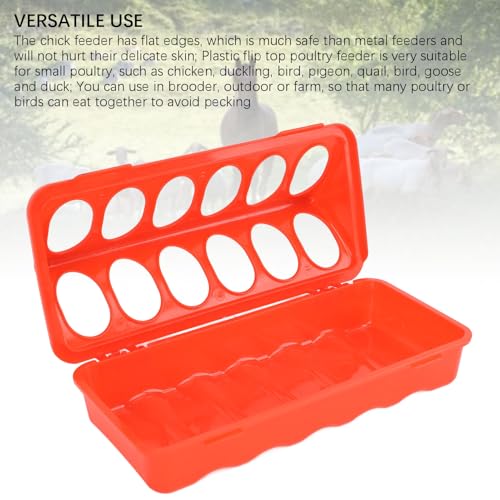 10 Set Flip Top Poultry Feeder, Flip Top Chick Feeder Plastic Quail Small Poultry Feeding Tray 12 Trough Dish Dispenser for Chicken Duck