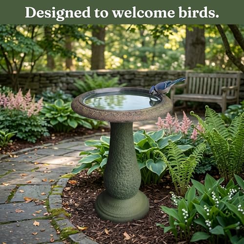 Pedestal Birdbath with Solar Fountain, Resin Stone Composite Outdoor Garden Decor, Standing Bird Bath for Outside Patio Yard, 23-Inch Tall, Garden Fountain, Resin Bird Baths, Hummingbird Bowl - color: Roman Green