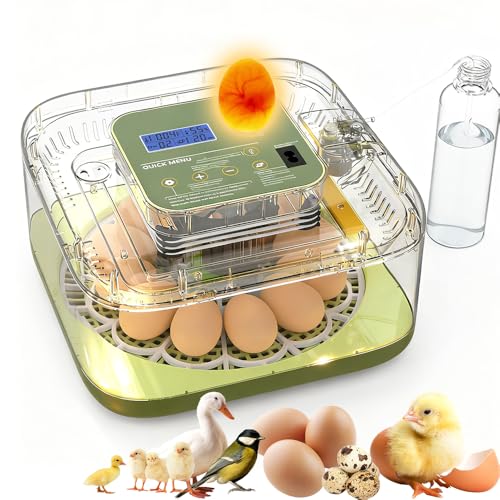 XOTTI Incubator for Hatching Egg, 12 Egg Incubators with Temperature and Humidity Control, Automatic Turner, Candler, 360° Viewing for Dry Hatch Chicken, Duck, Quail, Goose, Parrot and Pigeon - size: 12 Eggs