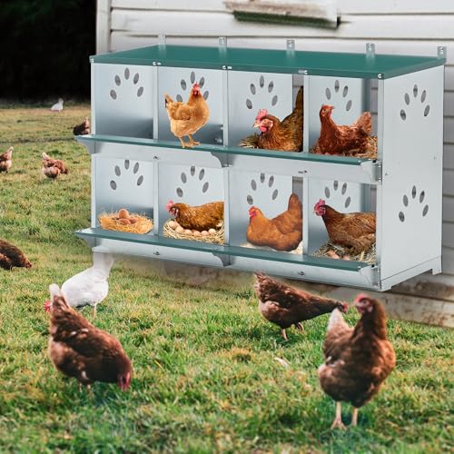 Chicken Nest Box, 8 Compartment Nesting Box, 8 Room Metal Nesting Boxes, Chicken Egg Laying Box Fit for Different Chicken Breeds - size: 8 Compartment