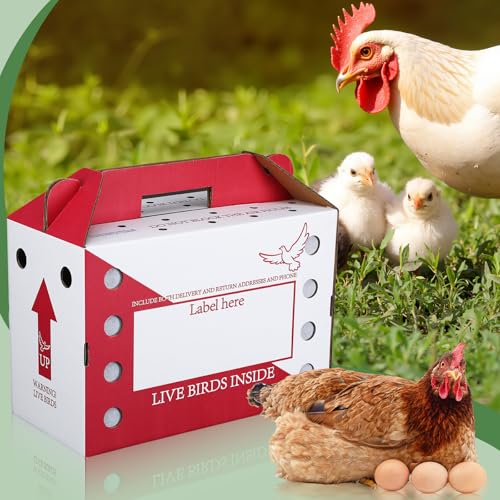 15 Pack Single Live Chicken Shipping Boxes 17.5 x 8.5 x 11.5" Live Bird Shipping Boxes Cardboard Pet Carrier with Handle for Poultry, Pigeons, & Canaries(Red) - color: Red
